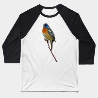 Lazuli Bunting Baseball T-Shirt